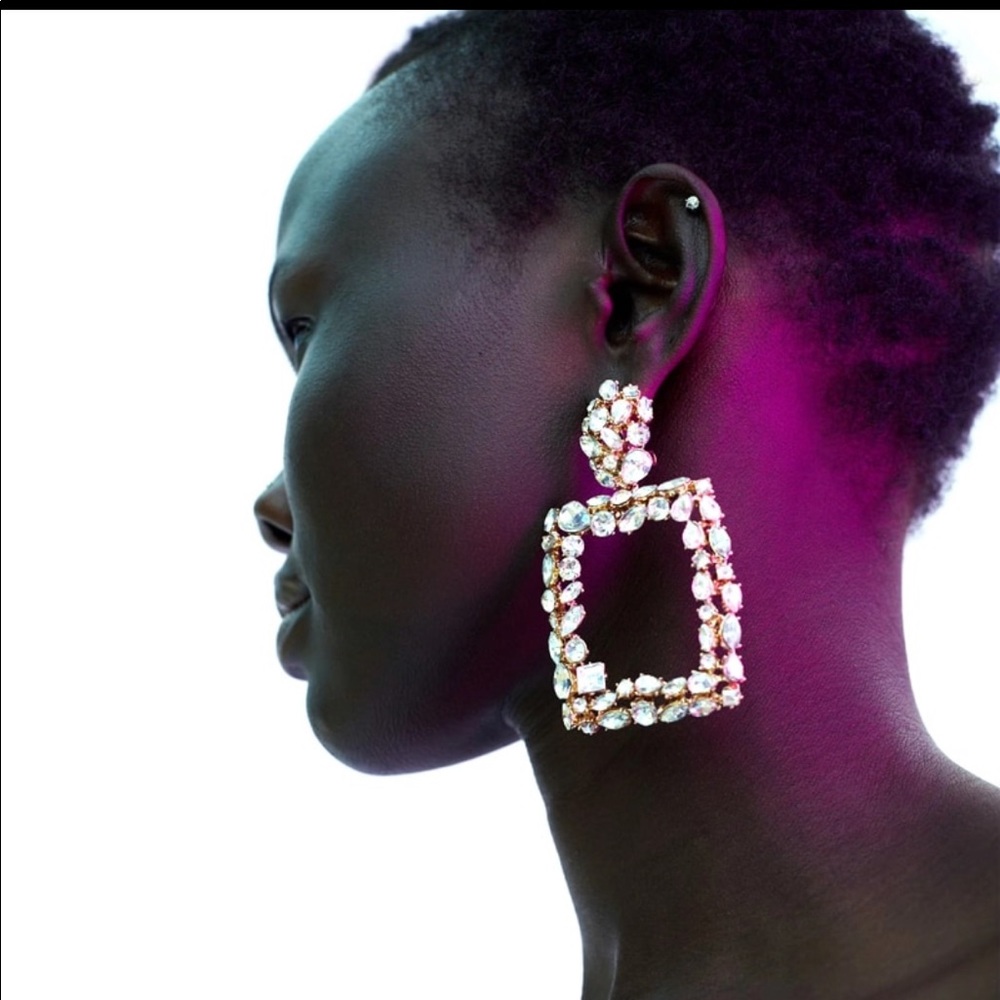 Glam Luxurious Zara Jewel Earrings
